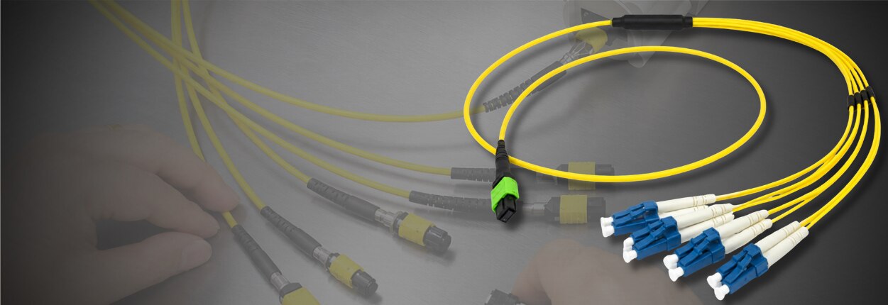 MPO Trunk Cables